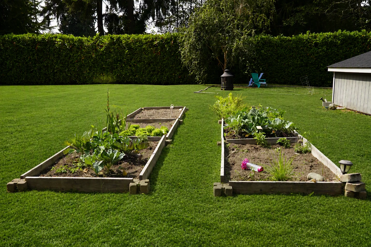 The raised vegetable beds in the garden at Bear Care AFH II