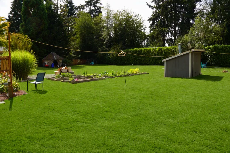 The back lawn with a garden shed