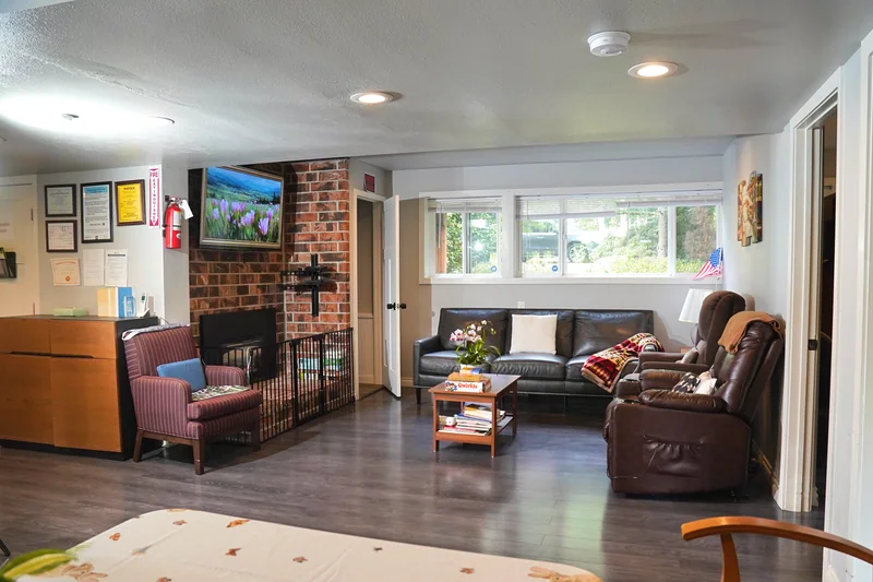 The living room seating area and television
